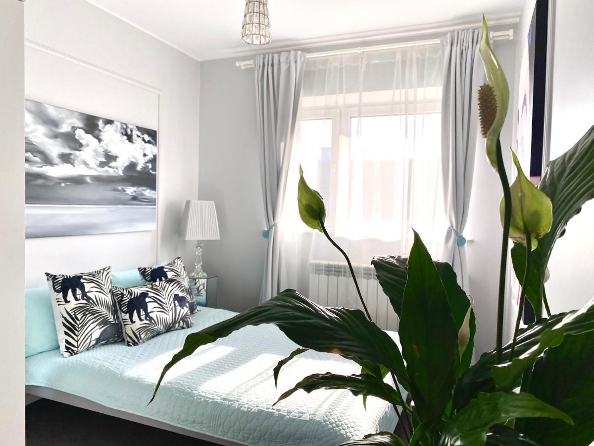 Dream Boutique Apartment 42M2 In The Heart Of Cracow Old Town كراكوفيا المظهر الخارجي الصورة
